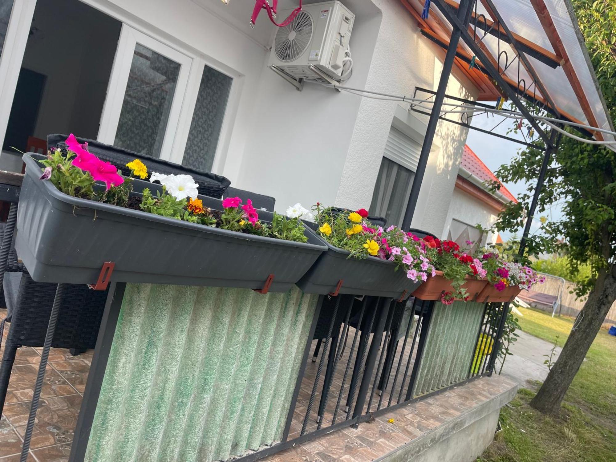 Valentina Apartman Balatonmáriafürdő Exteriör bild